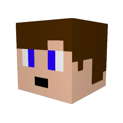 Jerry_W102 Minecraft avatar head, 3D render