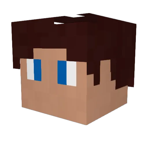 Jerry_Wester Minecraft avatar head, 3D render