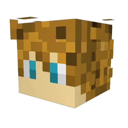 Jerry_Zorro Minecraft avatar head, 3D render