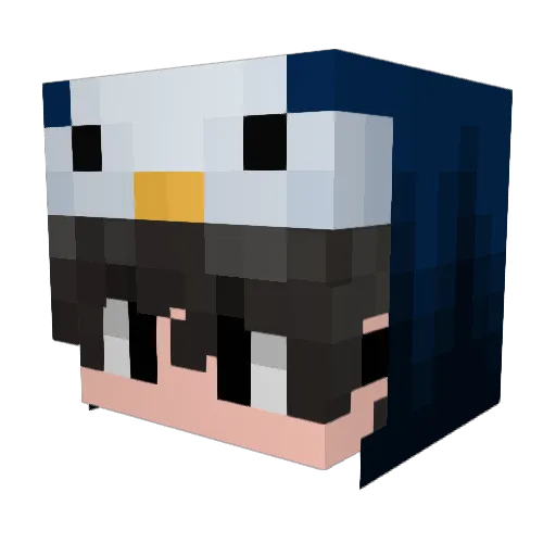 Jerry__Q Minecraft avatar head, 3D render