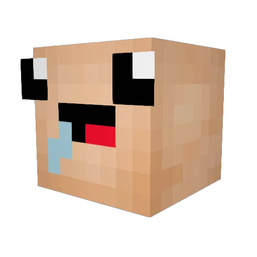 Jerry_rowery Minecraft avatar head, 3D render