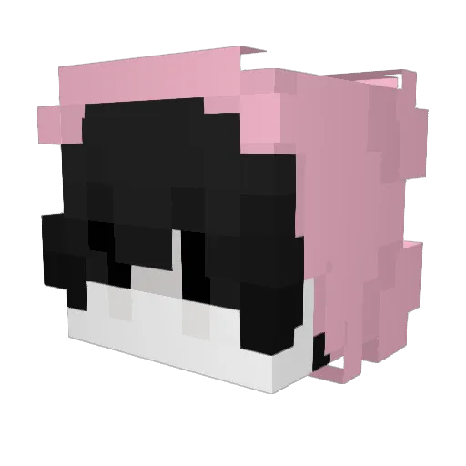 Jerrylein Minecraft avatar head, 3D render