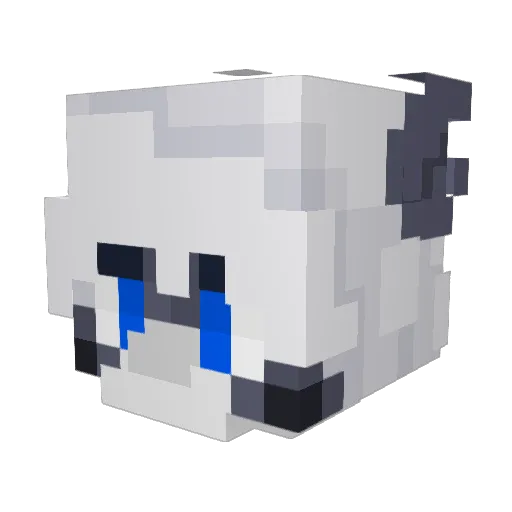 Jerrymious Minecraft avatar head, 3D render