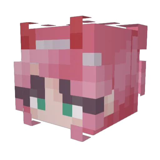 Jerrypan Minecraft avatar head, 3D render