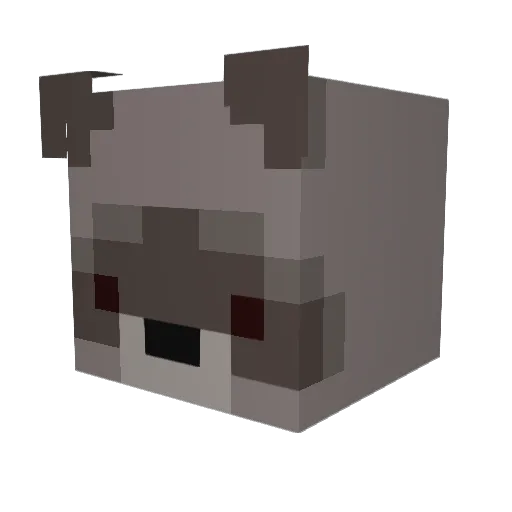 JerrytheKazoo Minecraft avatar head, 3D render