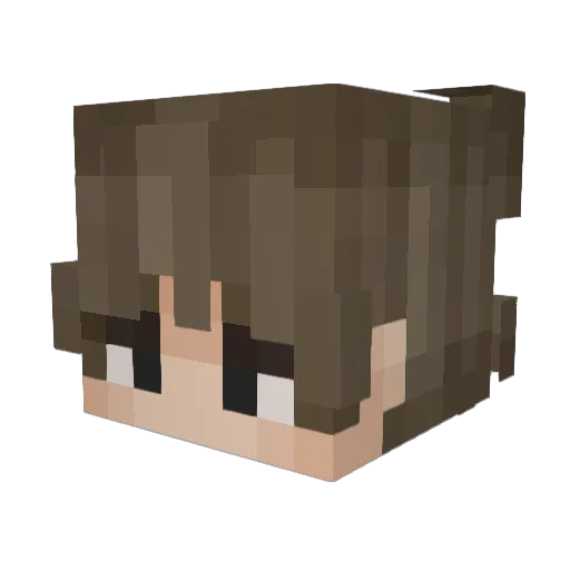 Jersa Minecraft avatar head, 3D render