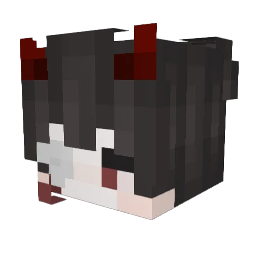 JeryTheHousGhost Minecraft avatar head, 3D render