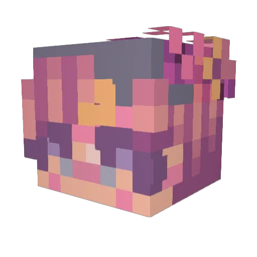 Jerynicol Minecraft avatar head, 3D render