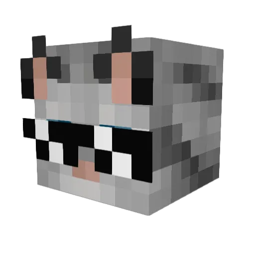 Jerzie1404 Minecraft avatar head, 3D render