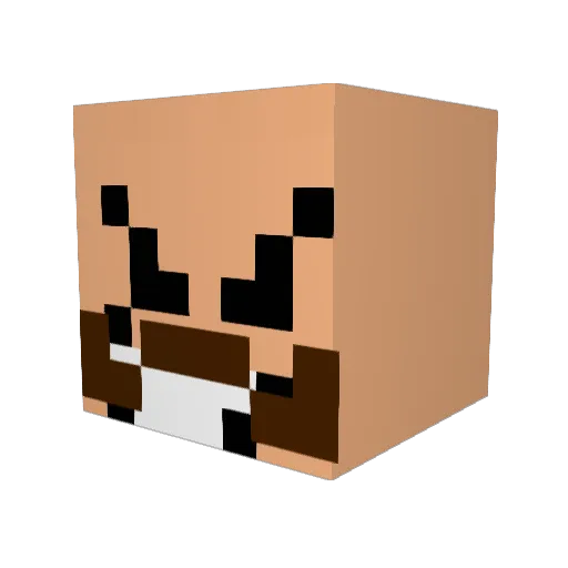 Jescellaneous1 Minecraft avatar head, 3D render