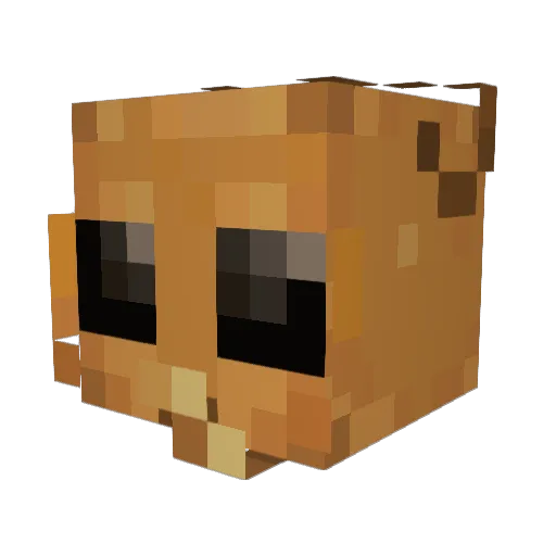 Jeshym Minecraft avatar head, 3D render