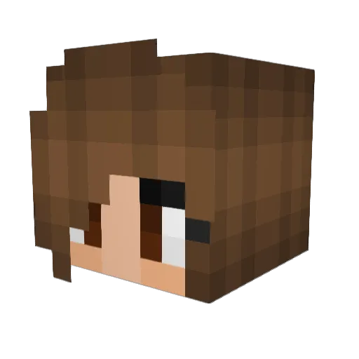 JesiRain Minecraft avatar head, 3D render