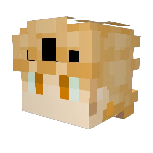 Jeskonn Minecraft avatar head, 3D render