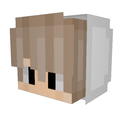 Jesoen Minecraft avatar head, 3D render