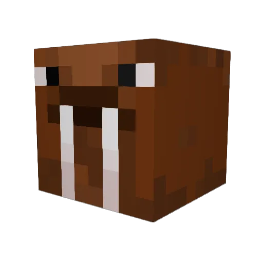 Jespie555 Minecraft avatar head, 3D render