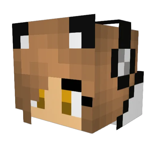 Jess8009 Minecraft avatar head, 3D render