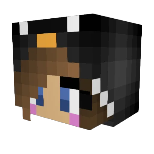 JessIsAPenguin Minecraft avatar head, 3D render