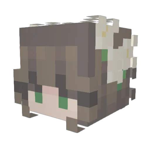 JessSkyo Minecraft avatar head, 3D render