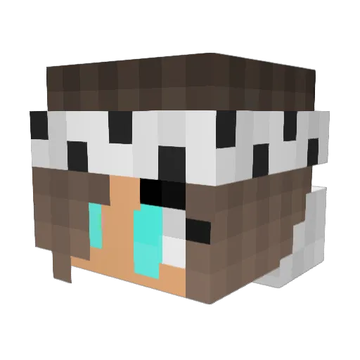 JessTheNoob Minecraft avatar head, 3D render