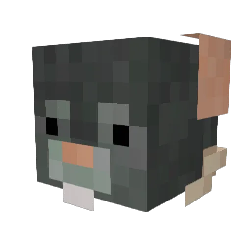 JessVampz Minecraft avatar head, 3D render