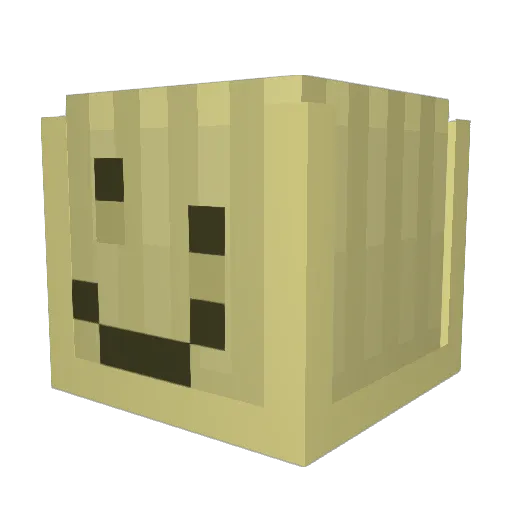 Jess_213 Minecraft avatar head, 3D render
