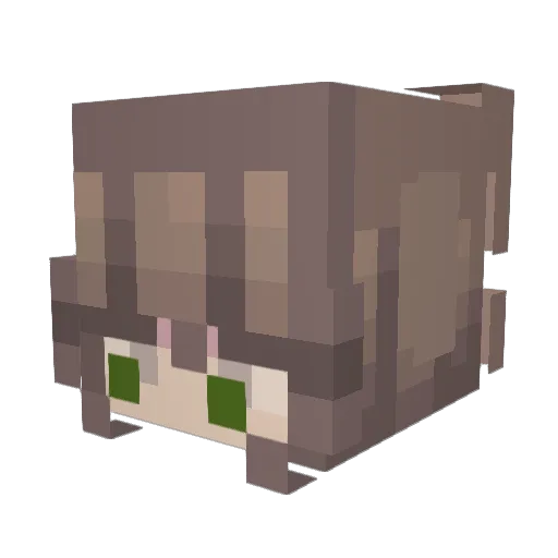 Jessamayy Minecraft avatar head, 3D render