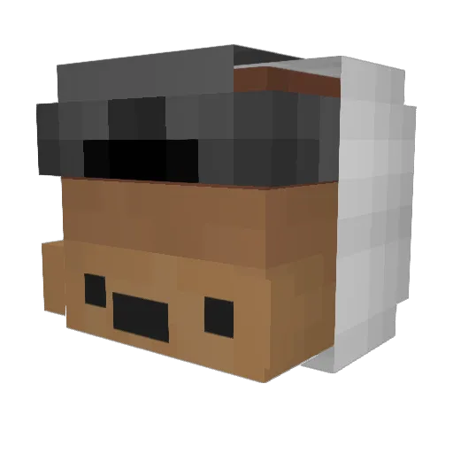 JesseA2007 Minecraft avatar head, 3D render
