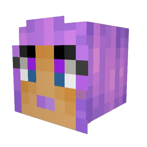 JesseSG Minecraft avatar head, 3D render