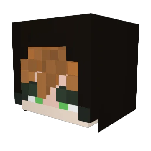 JesseSnake Minecraft avatar head, 3D render