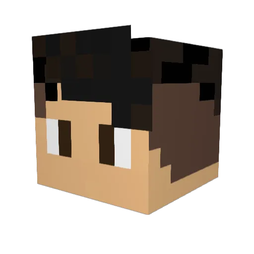JesseTheFarmer Minecraft avatar head, 3D render