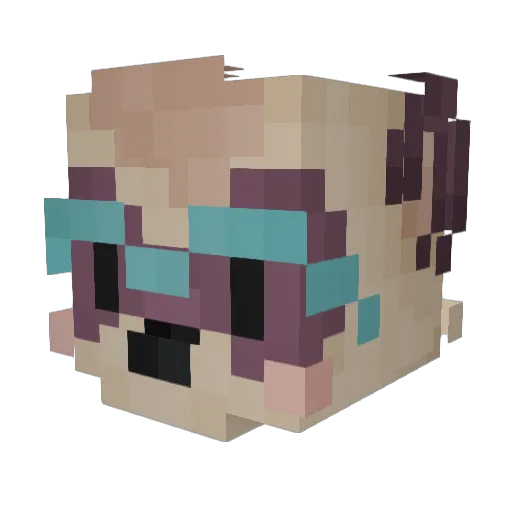 JesseTheFerret Minecraft avatar head, 3D render