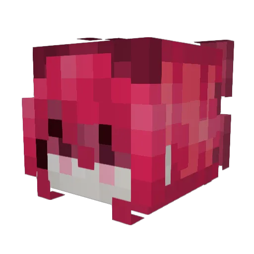 JesseTryna Minecraft avatar head, 3D render