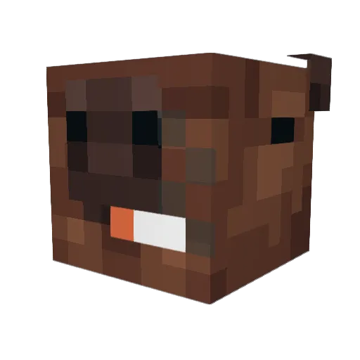 Jesse_Montloup Minecraft avatar head, 3D render