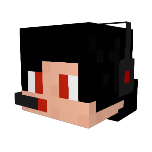 Jessej854 Minecraft avatar head, 3D render