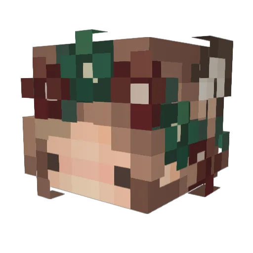 JessiTheWizard Minecraft avatar head, 3D render