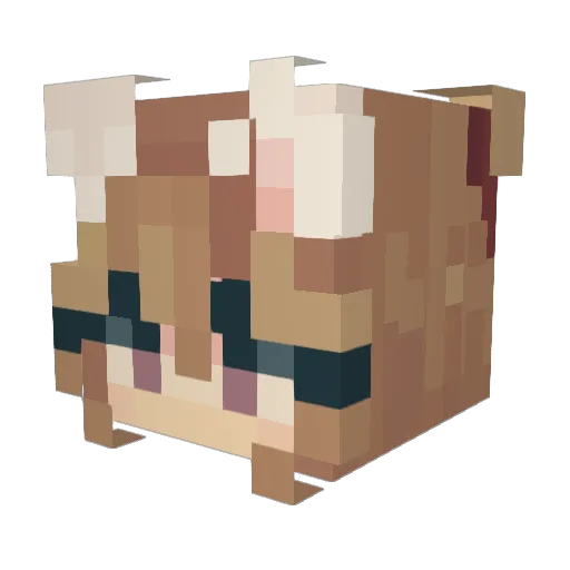 Jessica4058 Minecraft avatar head, 3D render