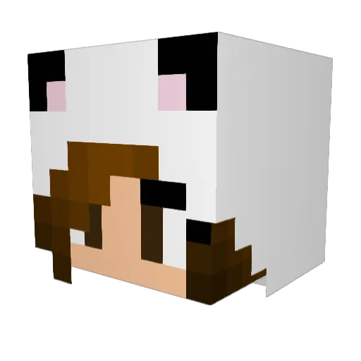 JessicaRocks11 Minecraft avatar head, 3D render