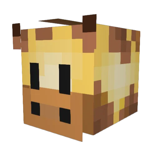 JessicaaaaLee Minecraft avatar head, 3D render
