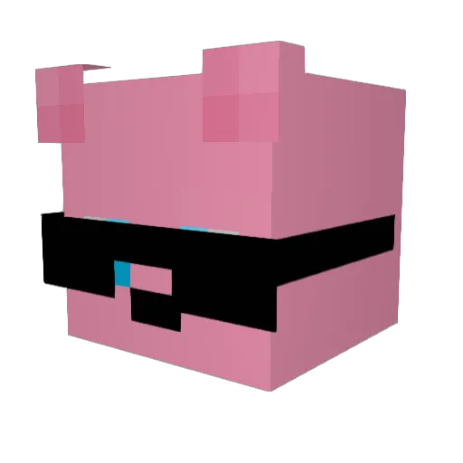 Jessicide Minecraft avatar head, 3D render