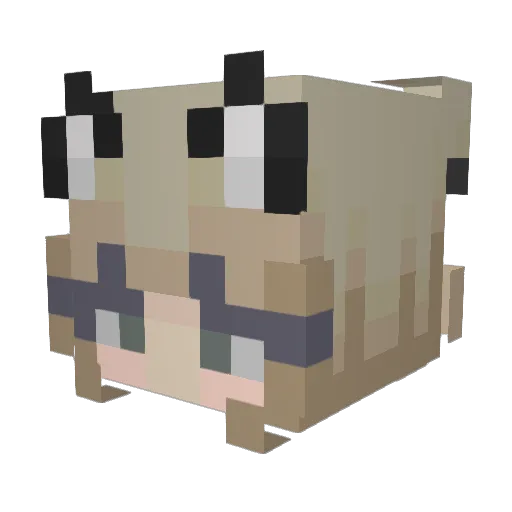 Jessie1230 Minecraft avatar head, 3D render