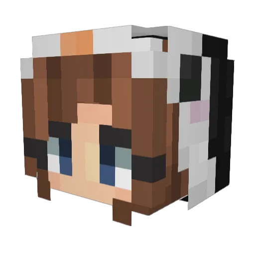 JessieCat11 Minecraft avatar head, 3D render