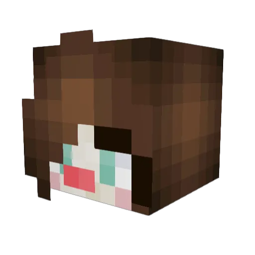 Jessieboocoyle Minecraft avatar head, 3D render