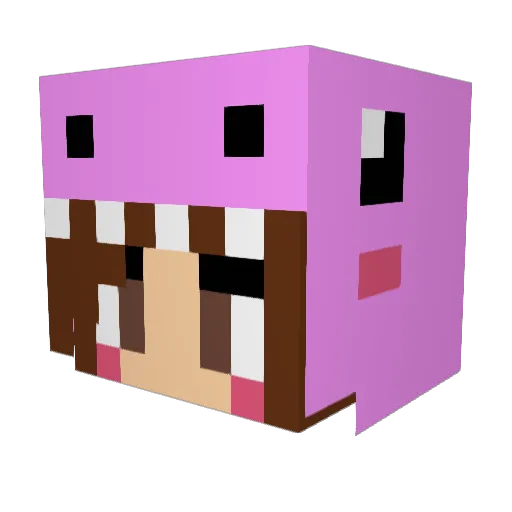 Jessikasaurus Minecraft avatar head, 3D render
