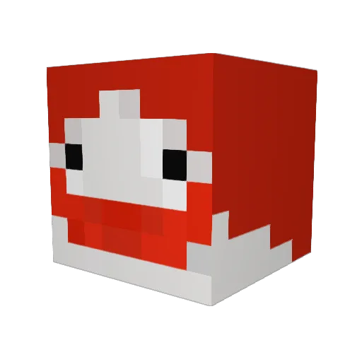 Jessterfer1016 Minecraft avatar head, 3D render