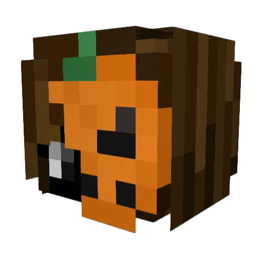 Jessy510 Minecraft avatar head, 3D render