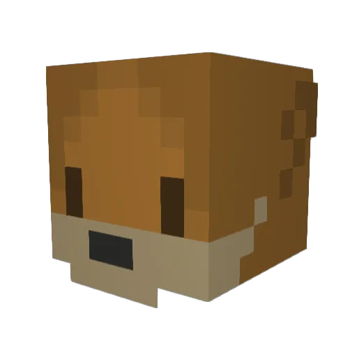 Jestaroo Minecraft avatar head, 3D render