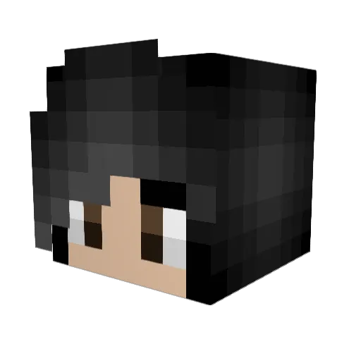 Jestaurantt Minecraft avatar head, 3D render