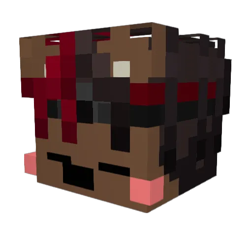 Jestem_Gabrys Minecraft avatar head, 3D render