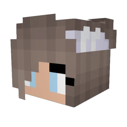 Jestorau Minecraft avatar head, 3D render