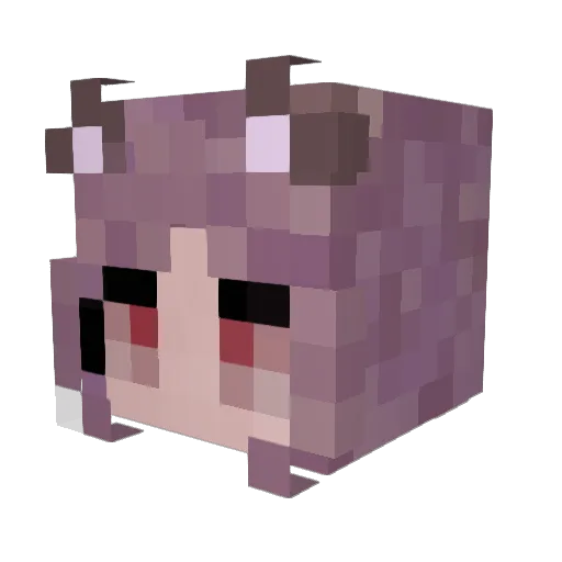 Jestyrx Minecraft avatar head, 3D render
